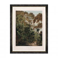 Κάδρο Trees Of Krakatoa - The Fan Palm FA13202 60X80 MindTheGap