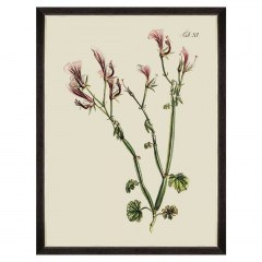 Κάδρο Botanical I FA13224 60x80cm Green MindTheGap