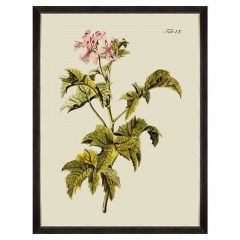 Κάδρο Botanical III FA13226 60x80cm Green MindTheGap