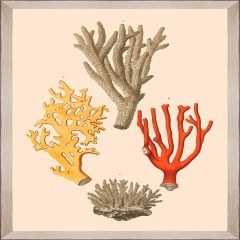 Κάδρο Deliciae Naturae Ii Fa13354 35X50Cm Beige-Yellow Mindthegap