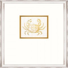 Frame Crab Fa13363 35X45Cm White-Gold Mindthegap