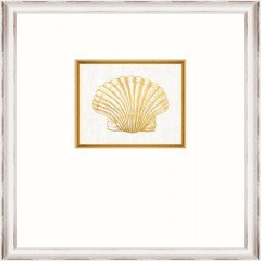 Κάδρο Seashell Fa13365 35X45Cm White-Gold Mindthegap