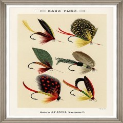 Frame Fishing Flies Ii By Mary Orvis Marbury Fa13406 60X80Cm Multi Mindthegap