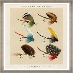 Κάδρο Fishing Flies Iv By Mary Orvis Marbury Fa13408 60X80Cm Multi Mindthegap