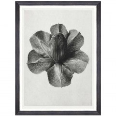 Κάδρο Cup And Saucer Vine FA13412 60x80cm Black-White MindTheGap