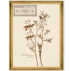 Frame Herbarium Alpinium VII FA13460 35x50cm Multi MindTheGap