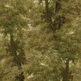 Wallpaper Branchy WP20784 Autumn Green MindTheGap OLIVE GREEN