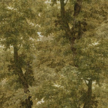 Wallpaper Branchy WP20784 Autumn Green MindTheGap
