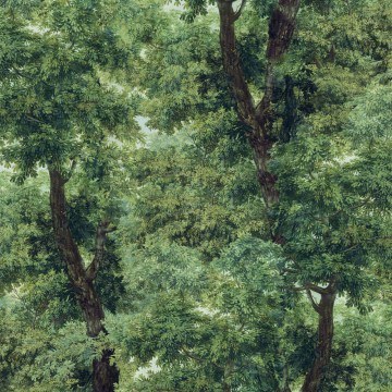Wallpaper Branchy WP20785 Meadow Green MindTheGap
