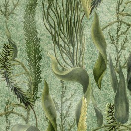 Wallpaper Aquatic Plants WP20717 Multi-Green MindTheGap MULTI-GREEN