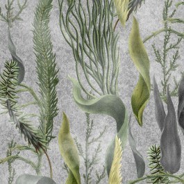 Wallpaper Aquatic Plants WP20718 Multi-Grey MindTheGap MULTI-GREY