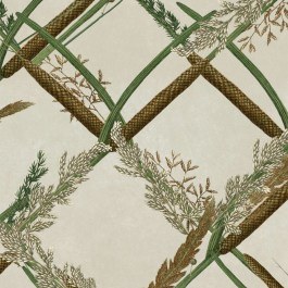 Wallpaper Ornamental Reed WP30161 Multi MindTheGap MULTI