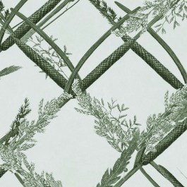 Wallpaper Ornamental Reed WP30162 Green MindTheGap GREEN