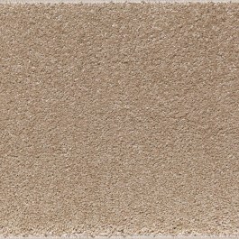 Μοκέτα Elite Beige Ns Carpets BEIGE