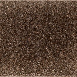 Μοκέτα Elite Brown Ns Carpets BROWN