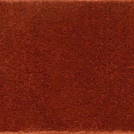 Μοκέτα Elite Terra Ns Carpets TERRA