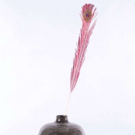 Τεχνητό Φτερό Παγώνι 2990-7 102cm Red-Multi Supergreens RED