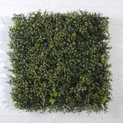 Τεχνητή Φυλλωσιά Ρούσκος 9921-7 50x50cm Green Supergreens
