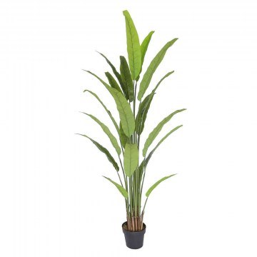 Artificial Tree Bird Of Paradise Strelizia Nicolai 6760-6 60x60x190cm Green Supergreens