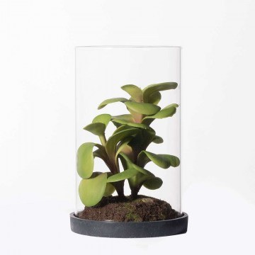 Τεχνητό Φυτό Κρασούλα Ovata 3260-6 15,5cm Green Supergreens