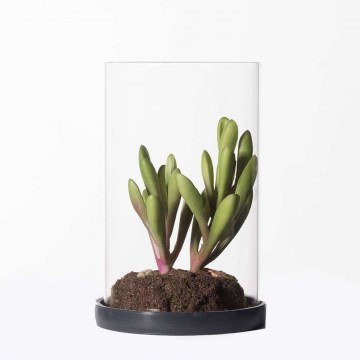 Artificial Plant Beautiful Skinny Fingers 2260-6 15,5cm Green Supergreens