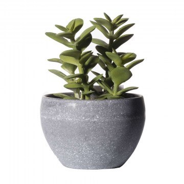 Τεχνητό Φυτό Κρασσούλα 8260-6 9x13,5cm Green Supergreens