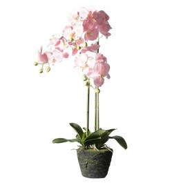 Artificial Plant Orchid With Base Moss 4170-6 39x25x85cm Pink Supergreens PINK