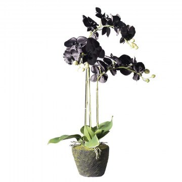 Τεχνητό Φυτό Ορχιδέα Με Βάση Moss 5170-6 39x25x85cm Black Supergreens