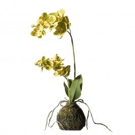 Artificial Plant Orchid With Base Moss 7070-6 20x20x40cm Green Supergreens GREEN