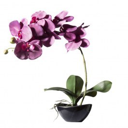 Τεχνητό Φυτό Ορχιδέα Με Κασπώ 2170-6 24x15x48cm Purple Supergreens PURPLE