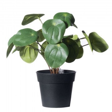 Artificial Plant Peperomia Abbreviata 5160-6 22cm Green Supergreens