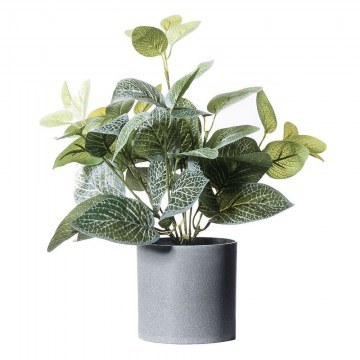 Τεχνητό Φυτό Πόλκα 2460-6 27x27x36cm Green Supergreens
