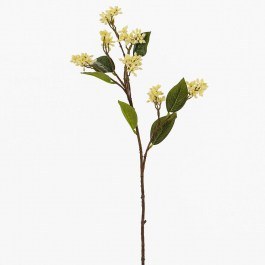 Artificial Branch Berry 7601-7 18x15x63cm Beige Supergreens BEIGE