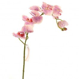 Artificial Branch Orchid 5380-7 75cm White-Purple Supergreens WHITE-PURPLE