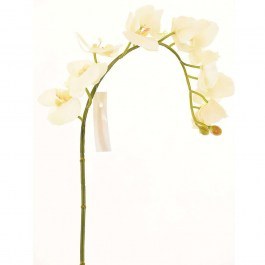 Artificial Branch Orchid 3230-7 75cm White Supergreens WHITE