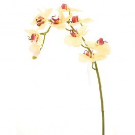 Artificial Branch Orchid 9380-7 75cm Beige Supergreens BEIGE