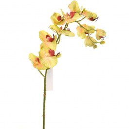 Artificial Branch Orchid 7380-7 75cm Green Supergreens GREEN