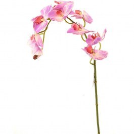 Artificial Branch Orchid 8380-7 75cm Fuchsia Supergreens FUCHSIA