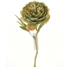 Artificial Branch Peony 3280-7 34cm Green Supergreens GREEN