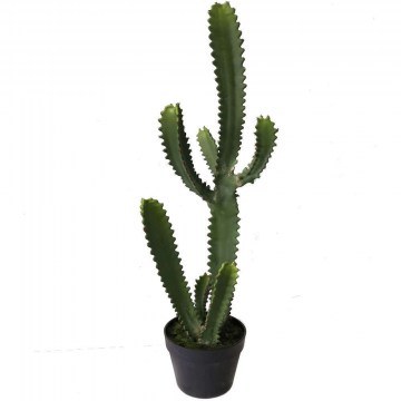 Τεχνητό Φυτό Εφόρμπια Mili 5780-6 89cm Green Supergreens