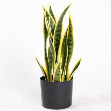 Τεχνητό Φυτό Σανσεβιέρα 5840-6 45cm Green Supergreens