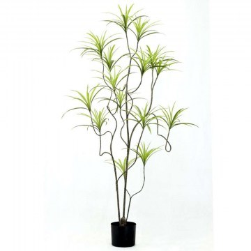 Artificial Tree Ogress Sanderiana 9770-6 210cm Green Supergreens