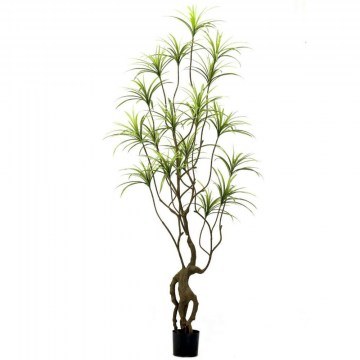 Artificial Tree Ogress Sanderiana 0870-6 250cm Green Supergreens