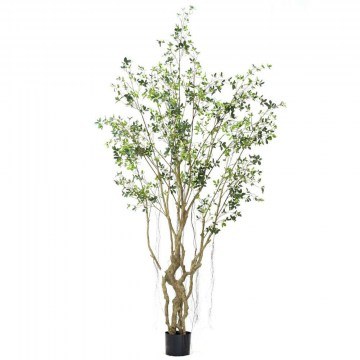 Artificial Tree Sycamore Microcarpa 7770-6 300cm Green Supergreens