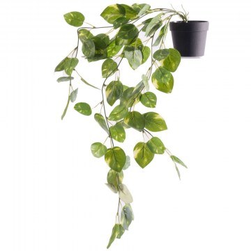 Artificial Plant Sycamore Coide 5591-7 62cm Green Supergreens