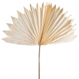 Τεχνητό Φύλλο Φοίνικας Serenoa 4081-7 30x30x50cm White Supergreens WHITE