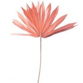 Τεχνητό Φύλλο Φοίνικας Serenoa 5081-7 30x30x50cm Pink Supergreens PINK