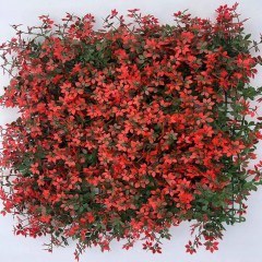 Τεχνητή Φυλλωσιά Φτέρη Alpine 1381-7 50x50cm Red Supergreens