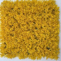 Τεχνητή Φυλλωσιά Φτέρη Cinnamon 4281-7 50x50cm Yellow Supergreens