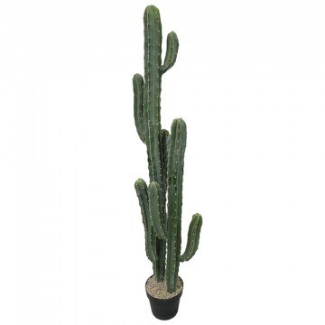 Τεχνητό Φυτό Εφόρμπια 5101-6 143cm Green Supergreens